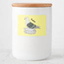 Pesquisar por pomba branca armazenamento alimentos Pássaro