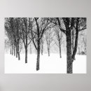 Pesquisar por tempo frio pôsteres Árvores