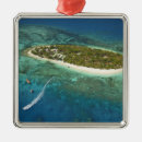 Pesquisar por fiji ornamentos Ilha