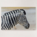 Pesquisar por animal africano Zebra