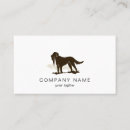 Pesquisar por amante cartao de visita Animais de estimação