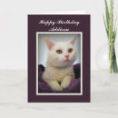 Pesquisar por happy birthday cat For her