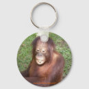Pesquisar por orangotango chaveiros Primatas