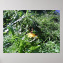 Pesquisar por ervas daninhas pôsteres Jardim