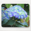 Pesquisar por natureza fotografia Flores