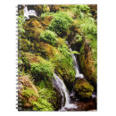 Pesquisar por musgo cadernos de notas Natureza