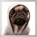 Pesquisar por hoodies pósteres pôsteres Cão