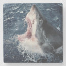 Pesquisar por aberto porta copos Dia