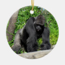 Pesquisar por gorila natal decoração Fotografia