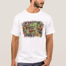 Pesquisar por macintosh Fruta