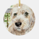 Pesquisar por terrier revestidos macios Wheaton
