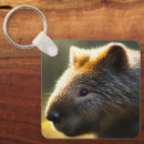 Pesquisar por wombat chaveiros Animal