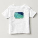 Pesquisar por ilha de fiji camisetas Aqua