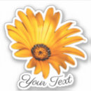 Pesquisar por mensagem flor adesivos Qualquer pessoa