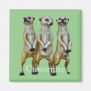 Pesquisar por suricato imas Animais