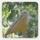 Pesquisar por escondido adesivos Pássaro