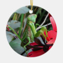 Pesquisar por louva deus ornamentos Verde