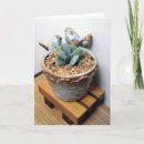 Pesquisar por cacti cartoes Succulents