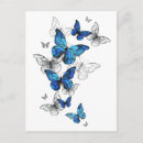 Pesquisar por borboleta azul morpho cartoes postais Borboletas