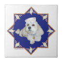 Pesquisar por friso azulejos Cães