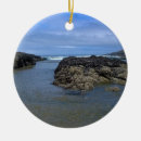 Pesquisar por piscinas ornamentos Oceano