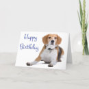 Pesquisar por beagle birthday cartoes Beagles