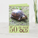 Pesquisar por tartaruga bonito cartoes Adorável