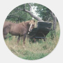 Pesquisar por carruagem do cavalo adesivos Pasto