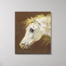 Pesquisar por cavalo árabe impressão de canvas Belas artes