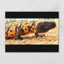 Pesquisar por lagarto cartoes postais Arizona