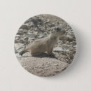 Pesquisar por cão pradaria Natureza