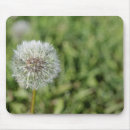 Pesquisar por semente eletronicos Branco