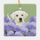 Pesquisar por labrador retriever ornamentos Laboratório