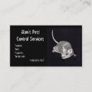 Pesquisar por roedores cartao de visita Insetos