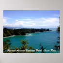 Pesquisar por manuel Antonio