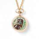 Pesquisar por de coruja relogios Natureza