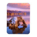 Pesquisar por mono cartoes Califórnia