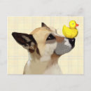 Pesquisar por patos cartoes postais Cão