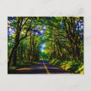 Pesquisar por verde floresta cartoes postais Viagem