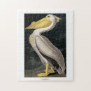 Pesquisar por pelicano branco americano Audubon