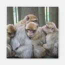 Pesquisar por hug imas Abraço