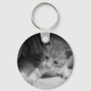 Pesquisar por fluffy chaveiros Doce