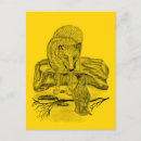 Pesquisar por lobos selvagens cartoes postais Lobo branco