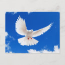 Pesquisar por porte postal da paz Pássaro