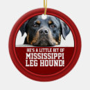 Pesquisar por animal ornamentos Dogs