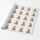 Pesquisar por ursinho urso papel de presente Fofofo