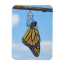 Pesquisar por partes do corpo imas Comprimento do cheio