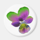 Pesquisar por roxo imanes Flores
