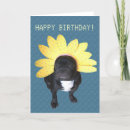 Pesquisar por bulldog francês cartoes Fofo