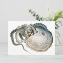 Pesquisar por octopus cartoes convites Polvo
